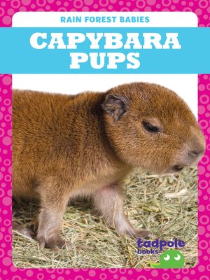 cover image of Capybara Pups